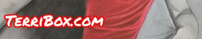 cropped terribox.com logo.jpeg